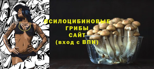 прущие крисы Гусь-Хрустальный