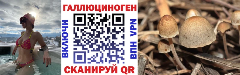 Псилоцибиновые грибы MAGIC MUSHROOMS Полярные Зори
